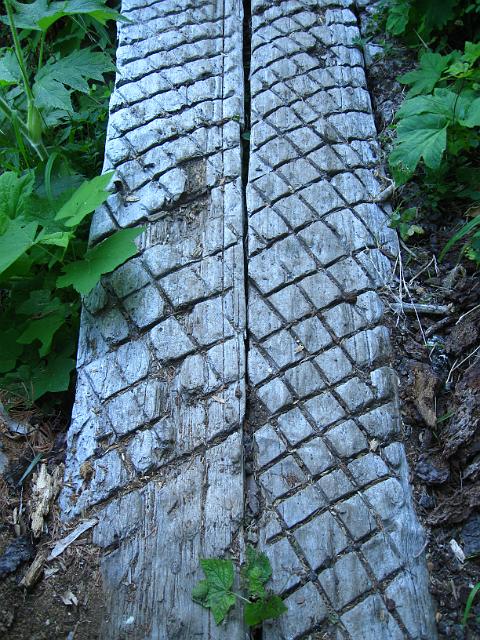 Bolan Mt & Redwoods-130.JPG - Bolan Lake Trail